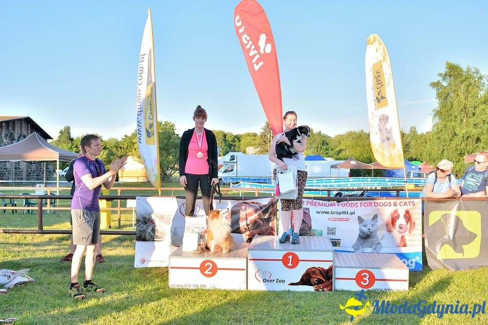 Puchar Bursztynowego Psa 15.07.17.