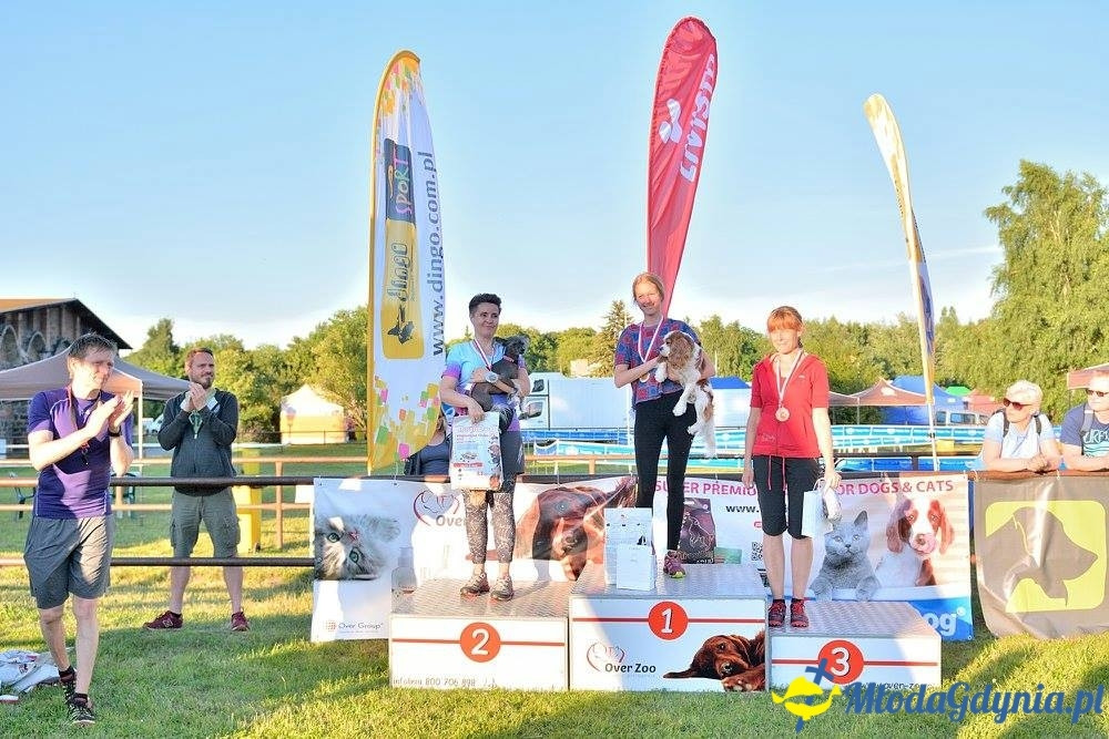 Puchar Bursztynowego Psa 15.07.17.