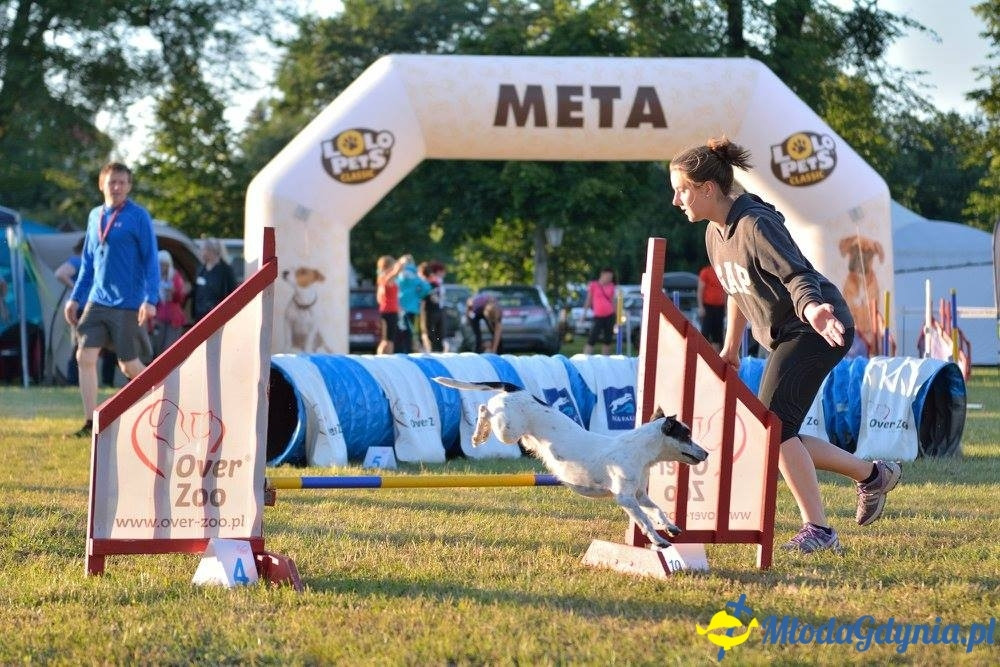 Puchar Bursztynowego Psa 15.07.17.