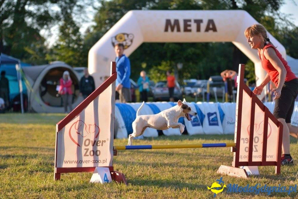 Puchar Bursztynowego Psa 15.07.17.