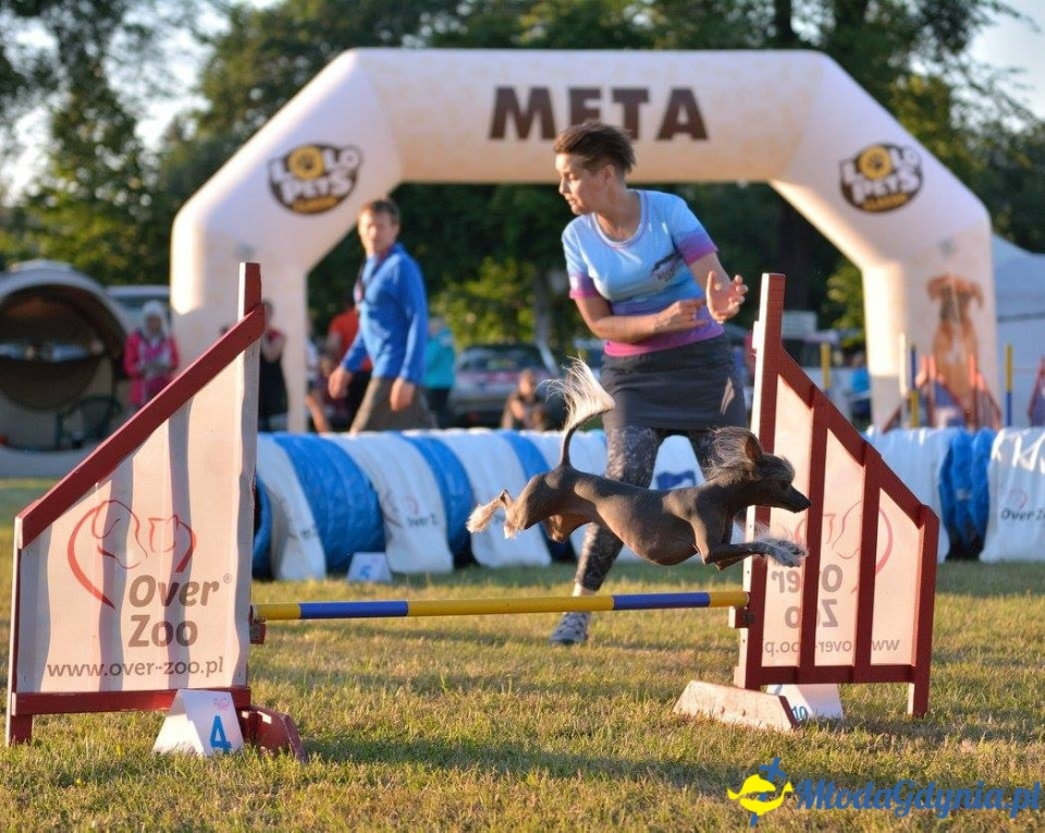 Puchar Bursztynowego Psa 15.07.17.