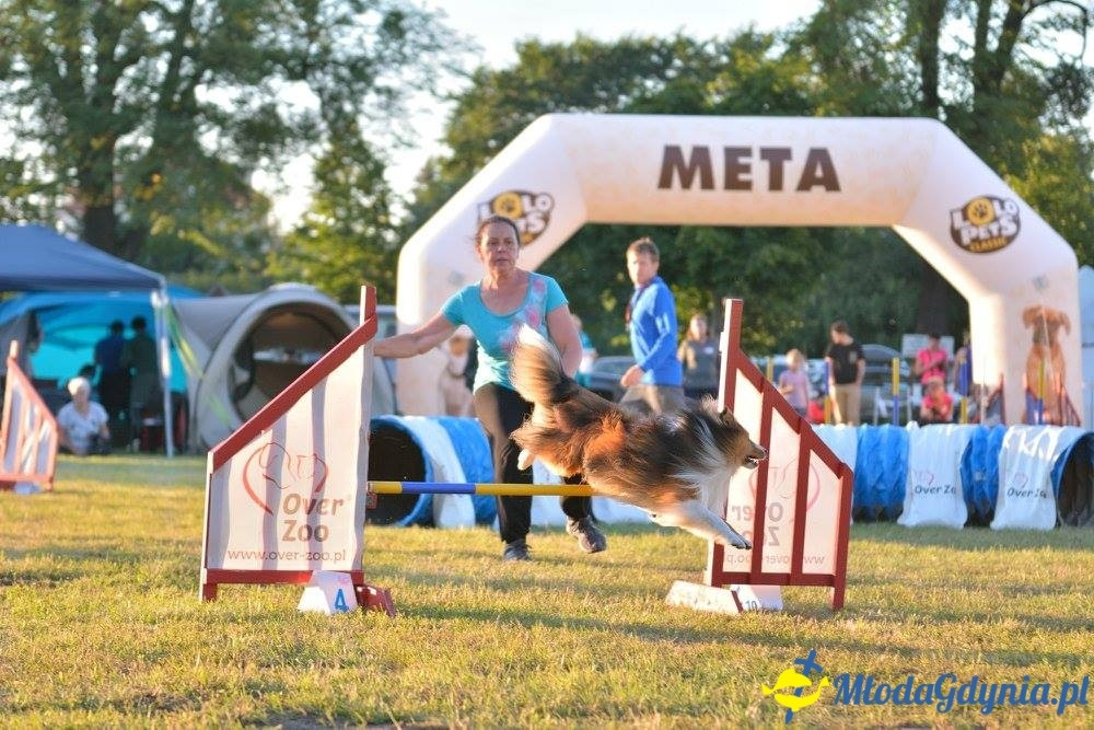 Puchar Bursztynowego Psa 15.07.17.