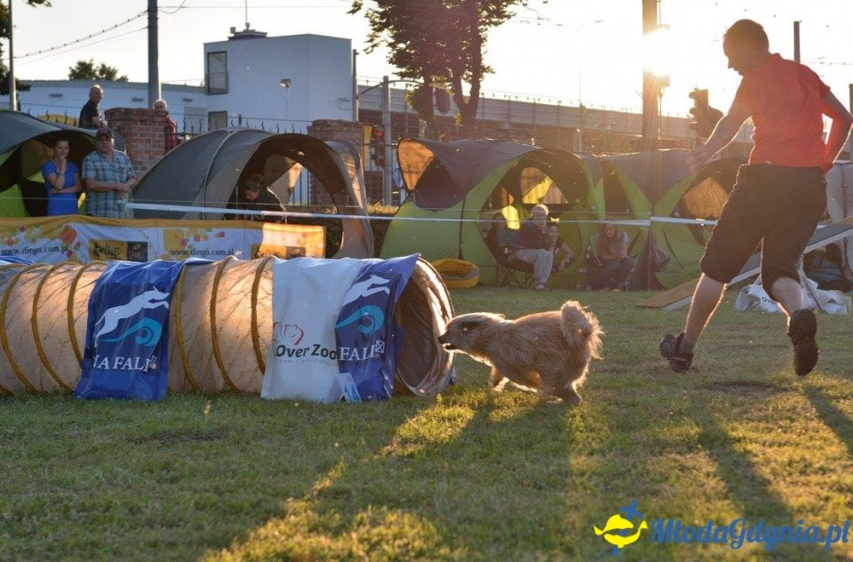 Puchar Bursztynowego Psa 15.07.17.