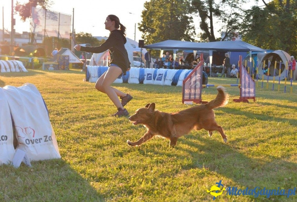 Puchar Bursztynowego Psa 15.07.17.