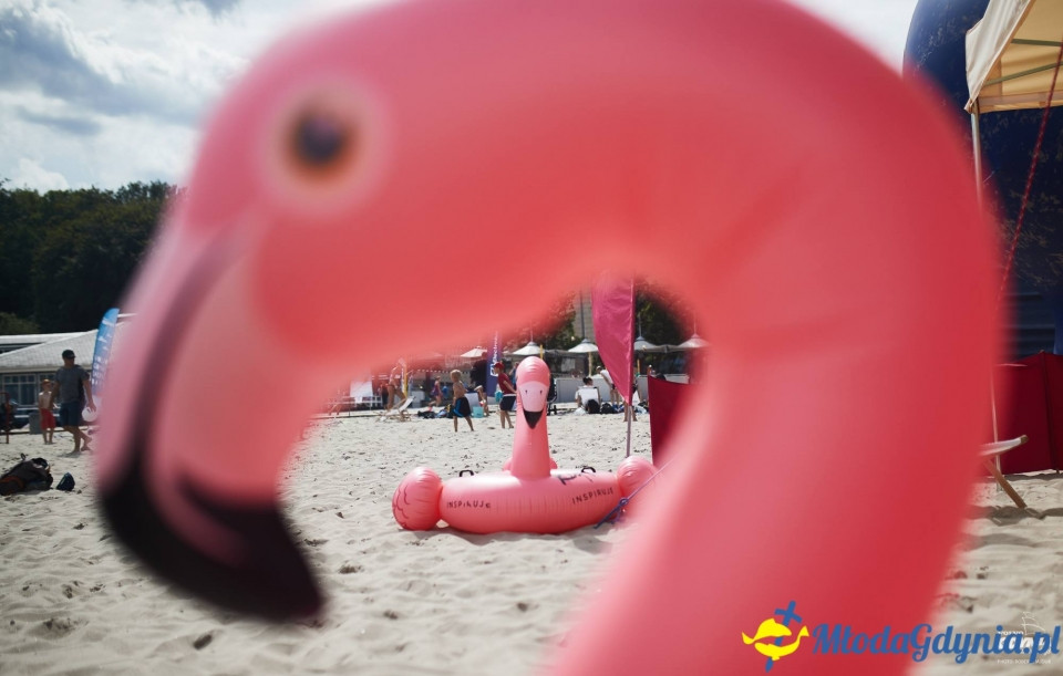 Aktywność na lądzie - Volvo Gdynia Sailing Days 2017