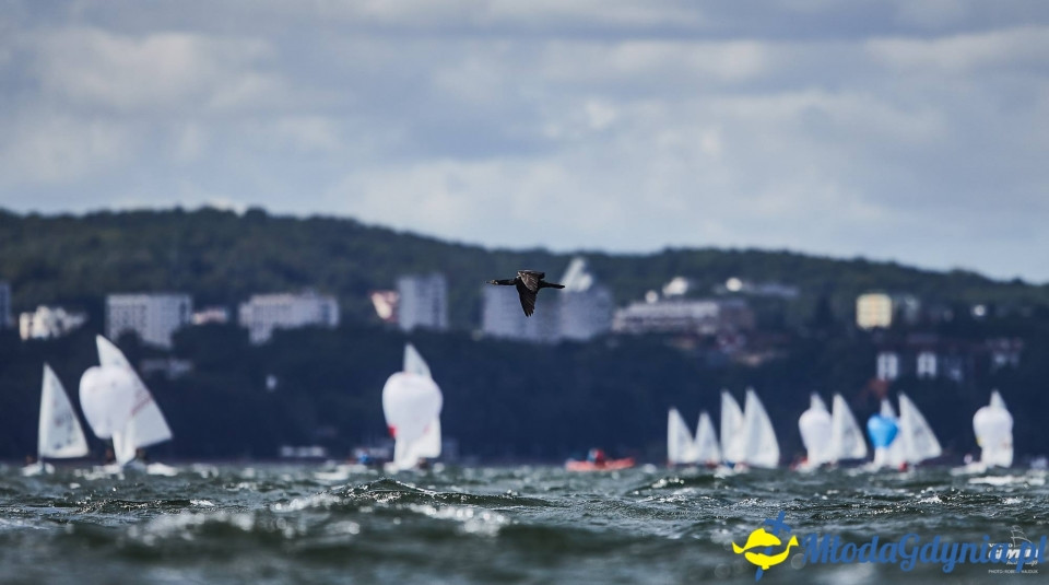 Puchar Miasta Gdyni - kl. LAS4.7, LAR, 420 - 2017