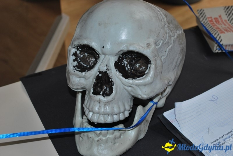 Loopys World - Sekret Trójkąta Bermudzkiego 22.07.2017