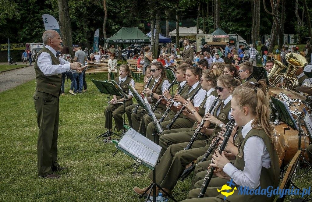 Festyn Leśny SEKRETY LASU
