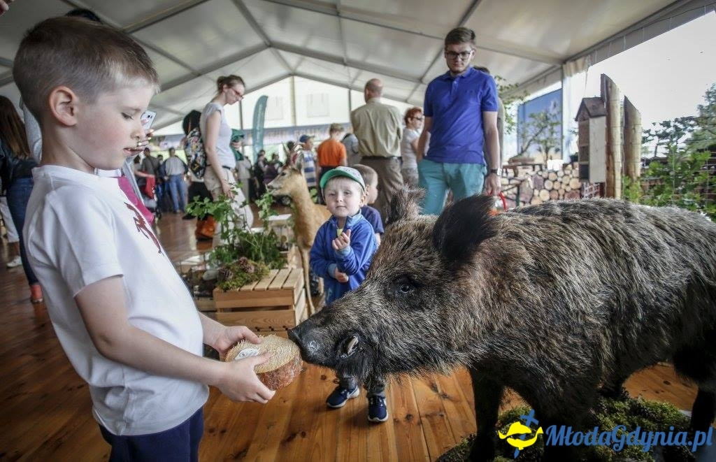 Festyn Leśny SEKRETY LASU