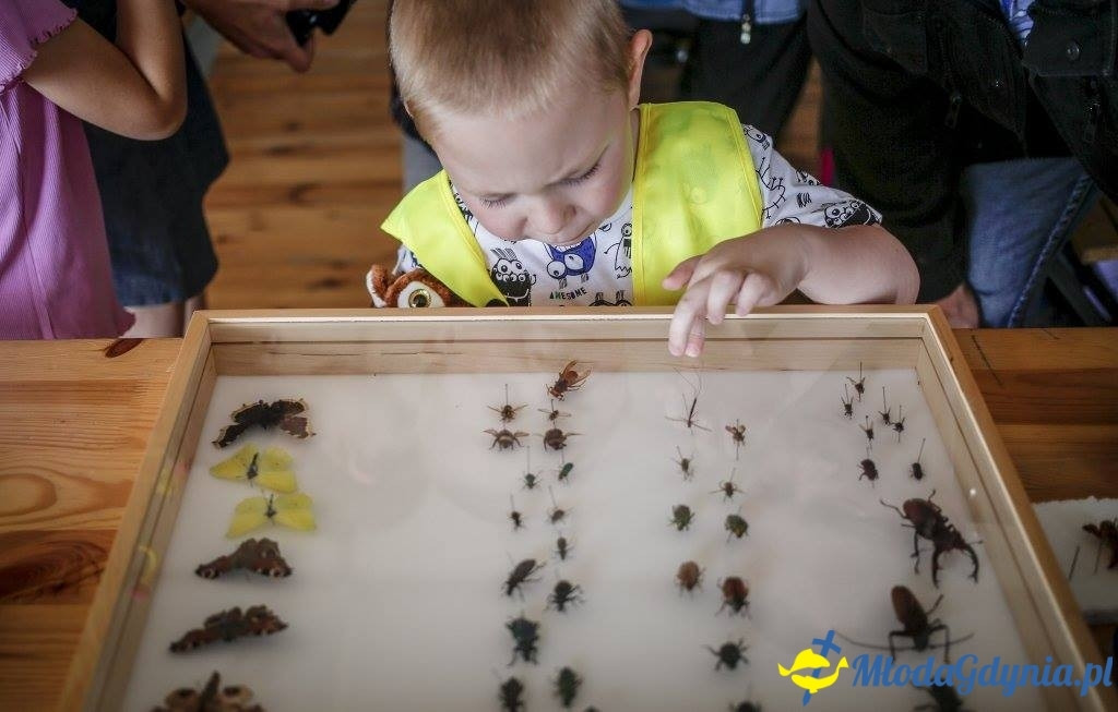 Festyn Leśny SEKRETY LASU