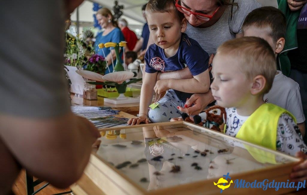 Festyn Leśny SEKRETY LASU