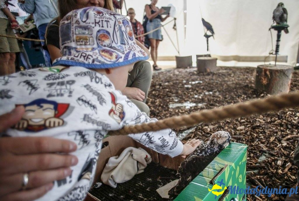 Festyn Leśny SEKRETY LASU