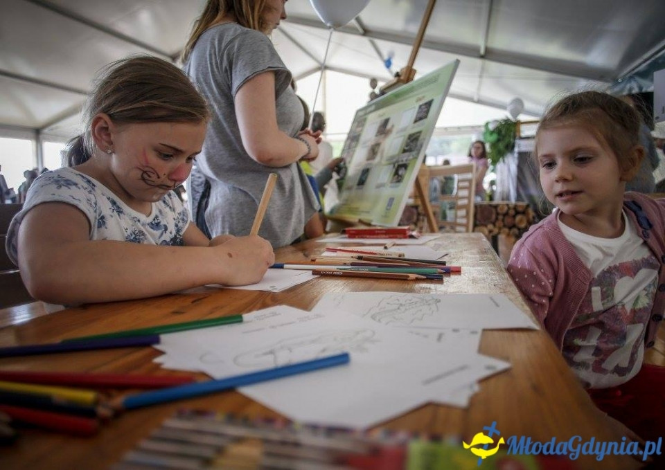 Festyn Leśny SEKRETY LASU