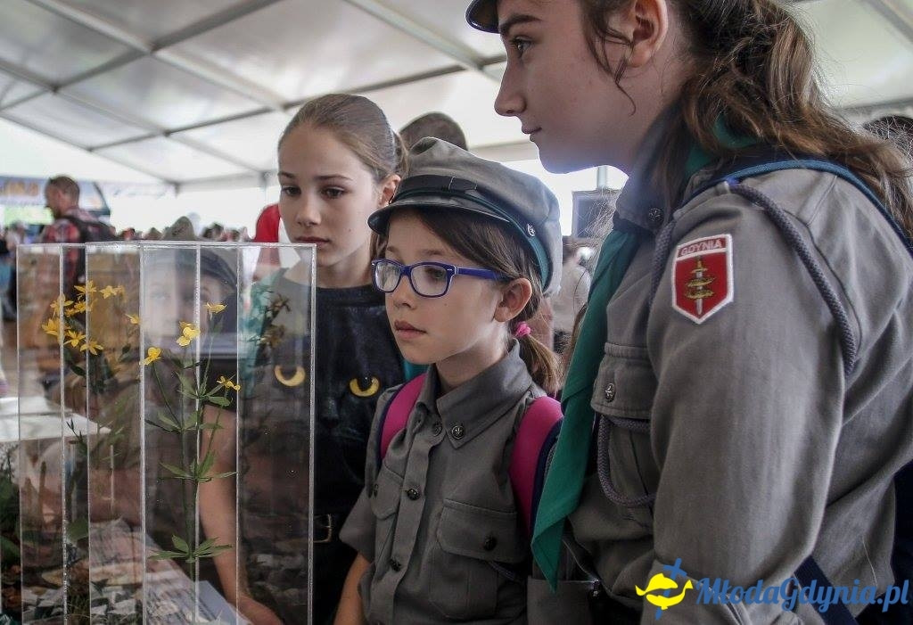 Festyn Leśny SEKRETY LASU