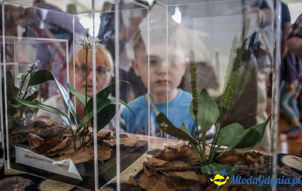 Festyn Leśny SEKRETY LASU