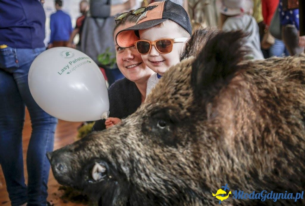 Festyn Leśny SEKRETY LASU