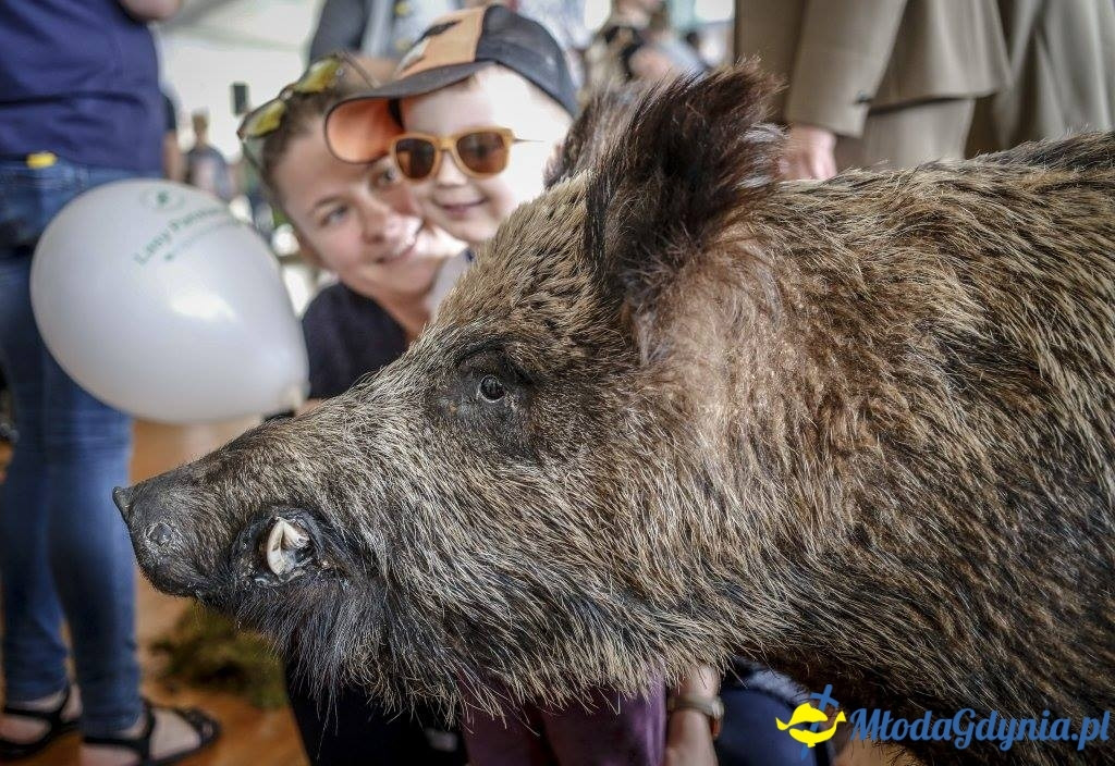 Festyn Leśny SEKRETY LASU