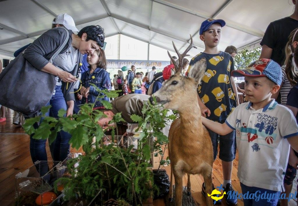 Festyn Leśny SEKRETY LASU