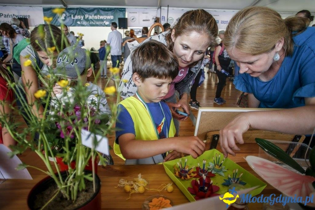 Festyn Leśny SEKRETY LASU