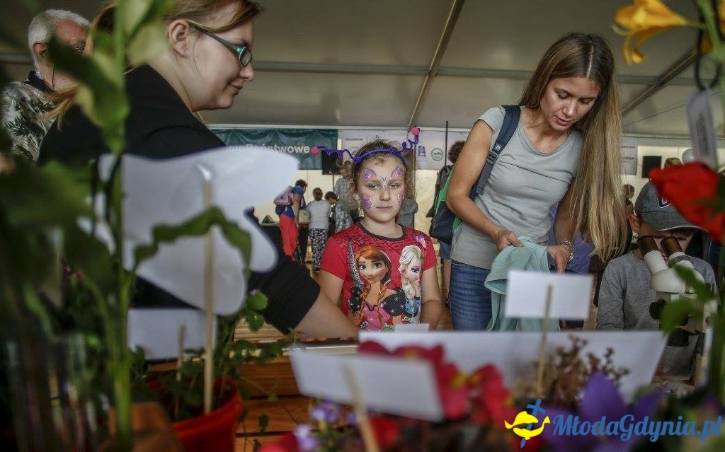 Festyn Leśny SEKRETY LASU