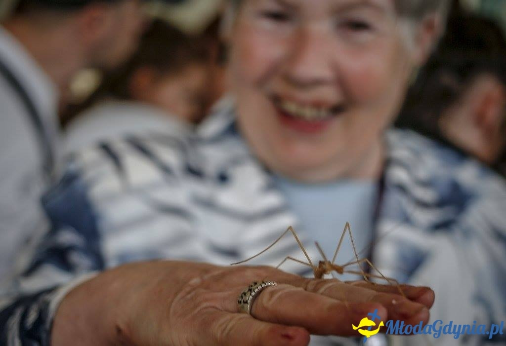 Festyn Leśny SEKRETY LASU
