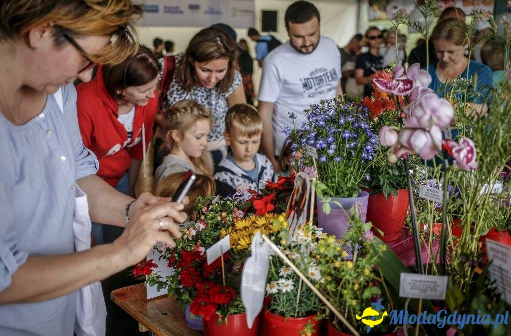 Festyn Leśny SEKRETY LASU