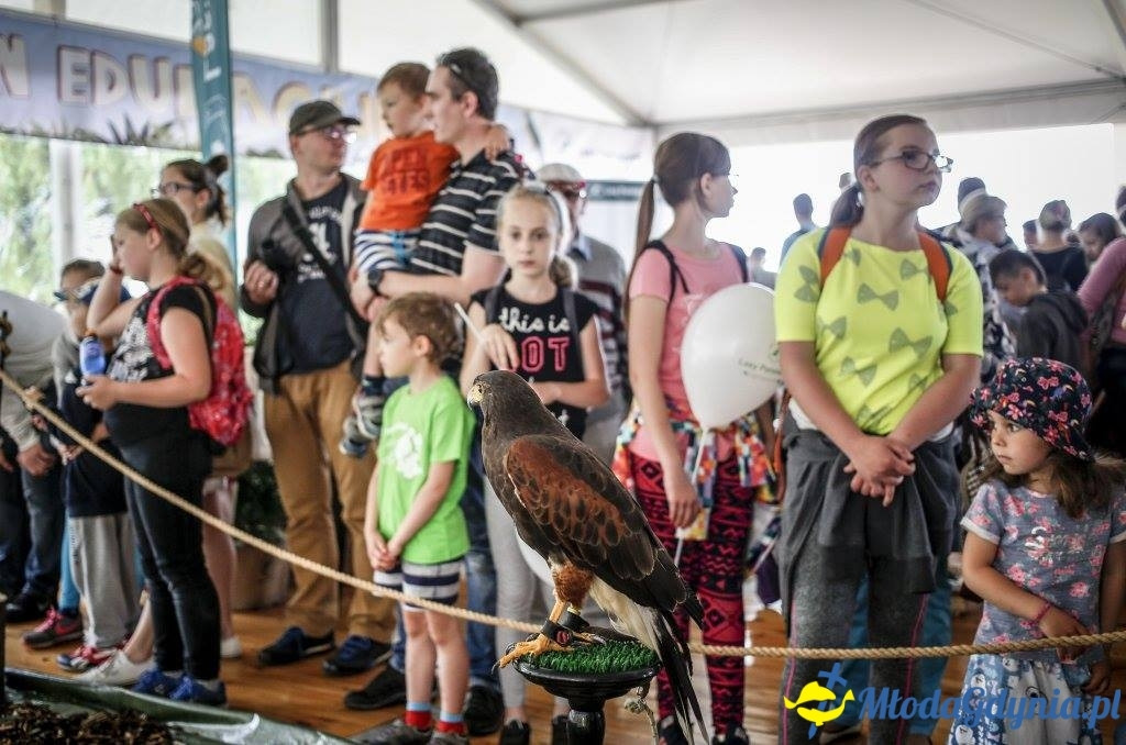 Festyn Leśny SEKRETY LASU