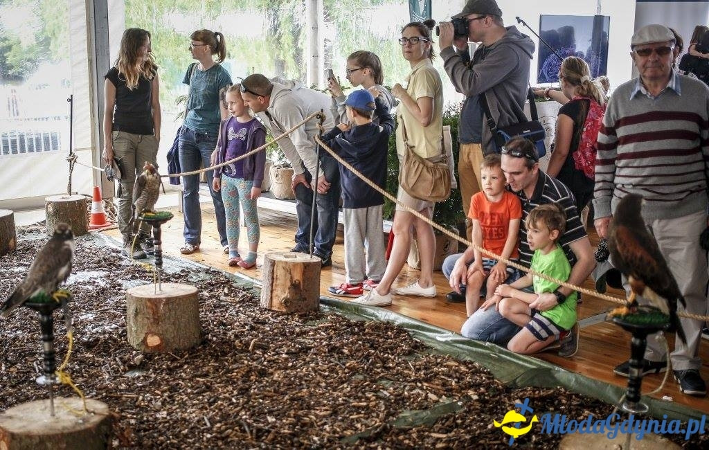 Festyn Leśny SEKRETY LASU