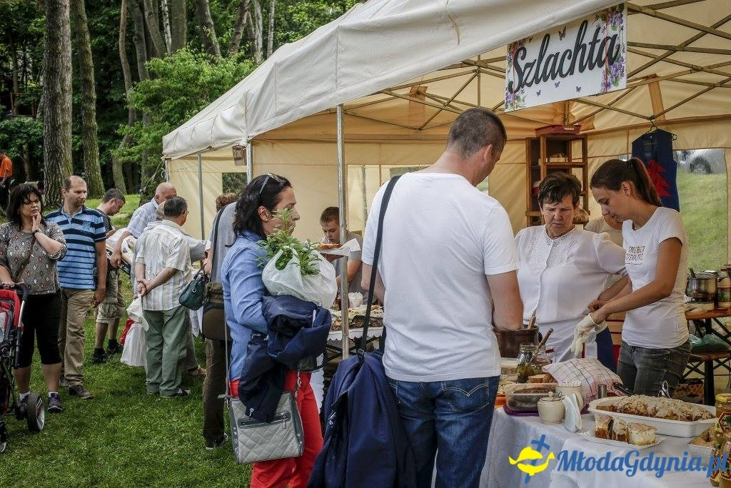 Festyn Leśny SEKRETY LASU