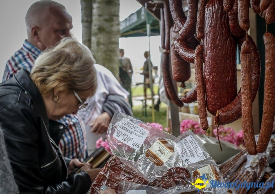 Festyn Leśny SEKRETY LASU