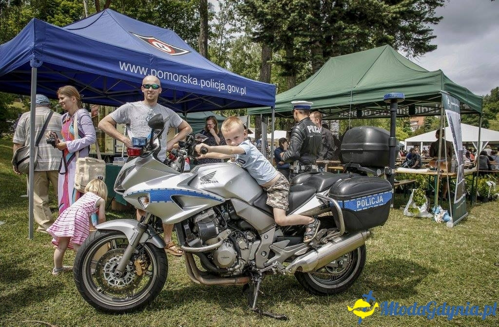 Festyn Leśny SEKRETY LASU