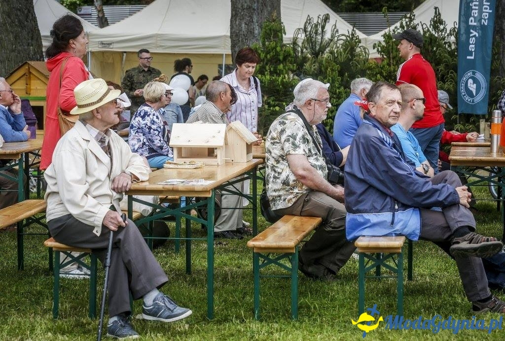 Festyn Leśny SEKRETY LASU