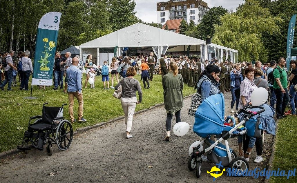 Festyn Leśny SEKRETY LASU