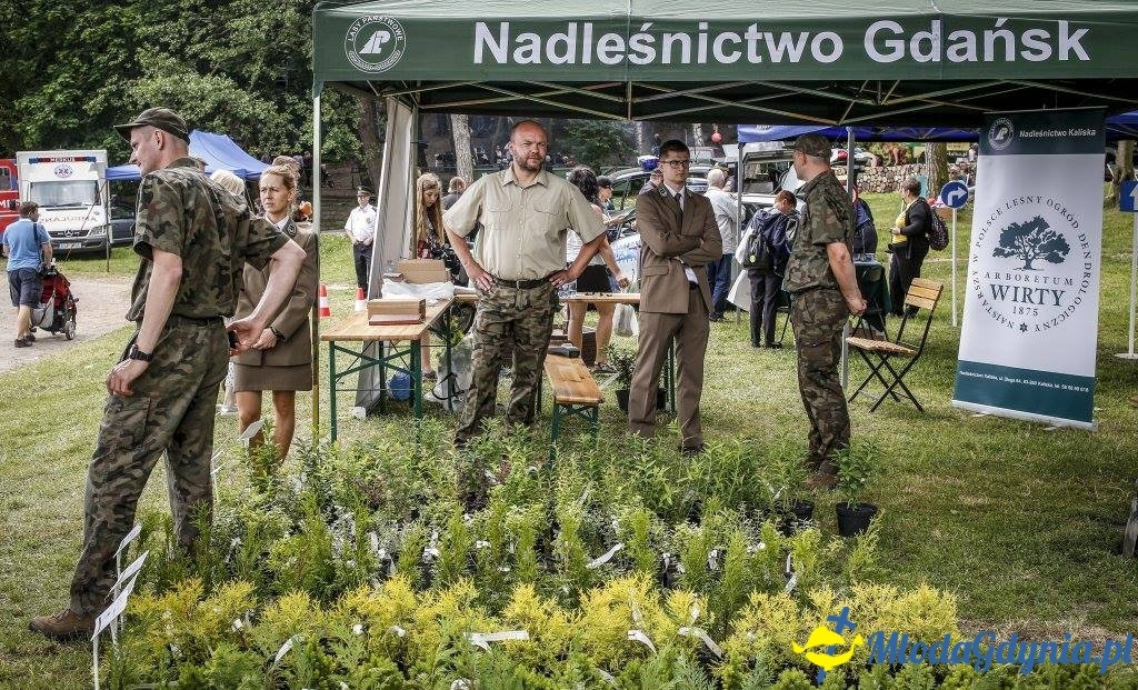 Festyn Leśny SEKRETY LASU