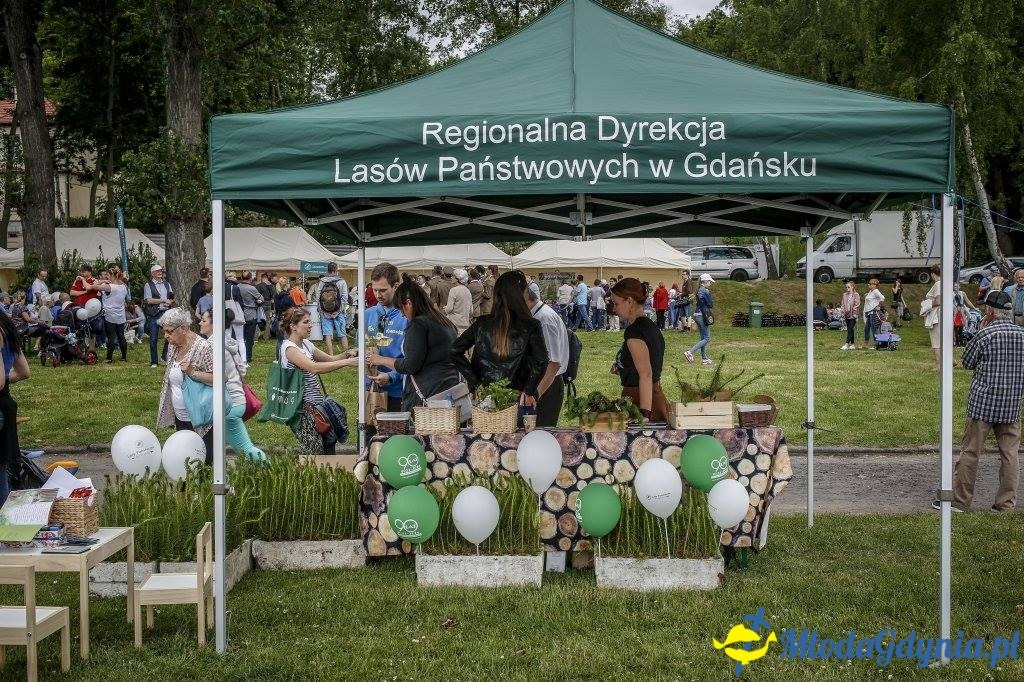 Festyn Leśny SEKRETY LASU