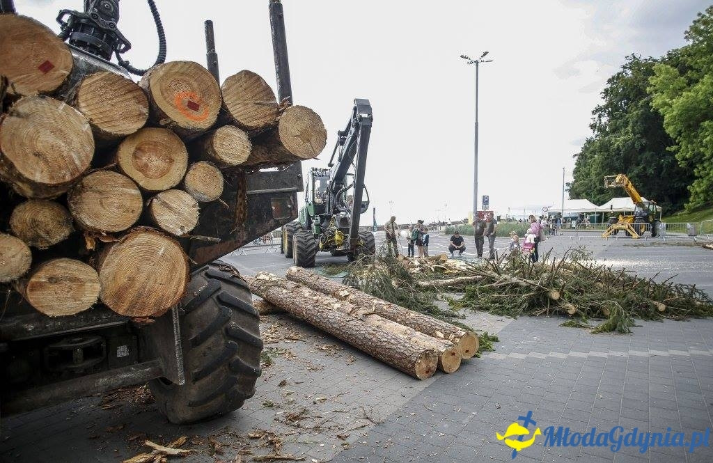 Festyn Leśny SEKRETY LASU