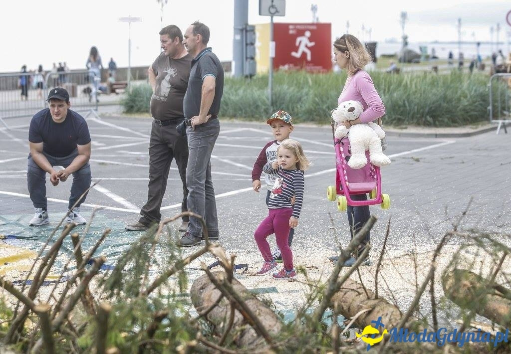 Festyn Leśny SEKRETY LASU