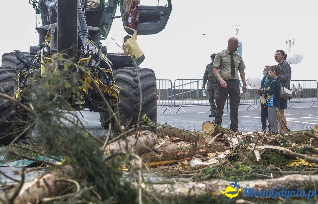 Festyn Leśny SEKRETY LASU