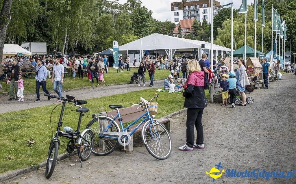 Festyn Leśny SEKRETY LASU