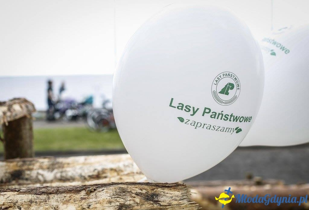 Festyn Leśny SEKRETY LASU