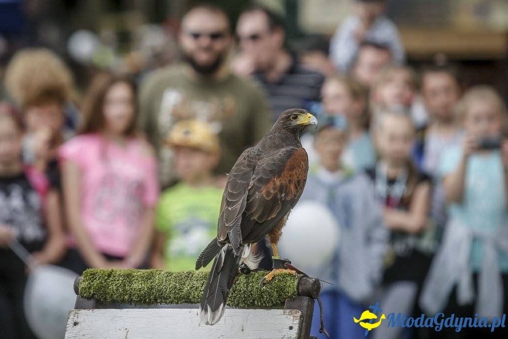 Festyn Leśny SEKRETY LASU