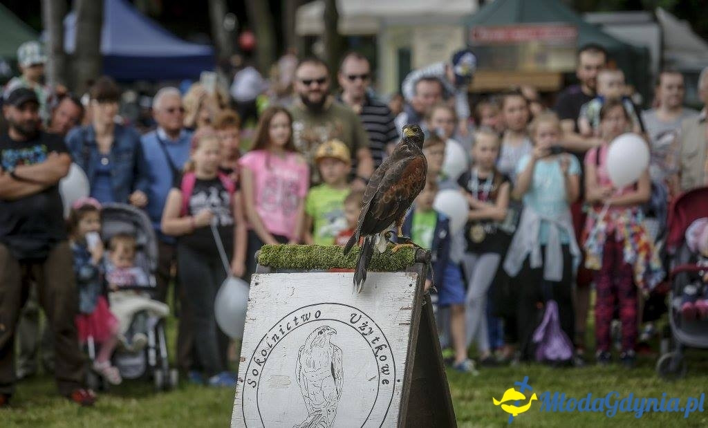 Festyn Leśny SEKRETY LASU