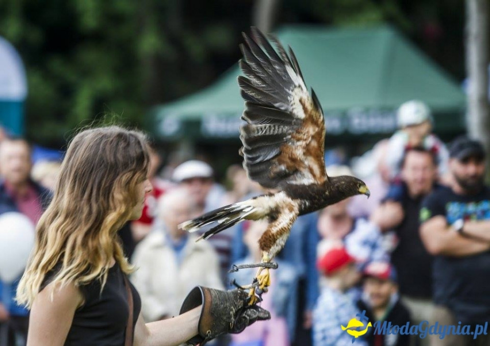 Festyn Leśny SEKRETY LASU