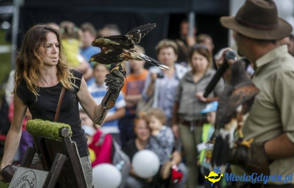 Festyn Leśny SEKRETY LASU