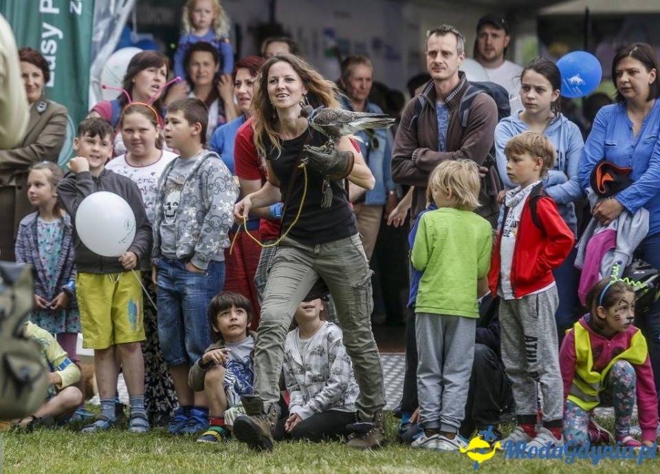 Festyn Leśny SEKRETY LASU
