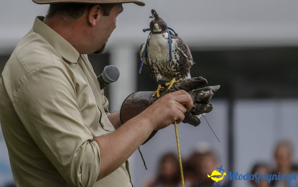 Festyn Leśny SEKRETY LASU