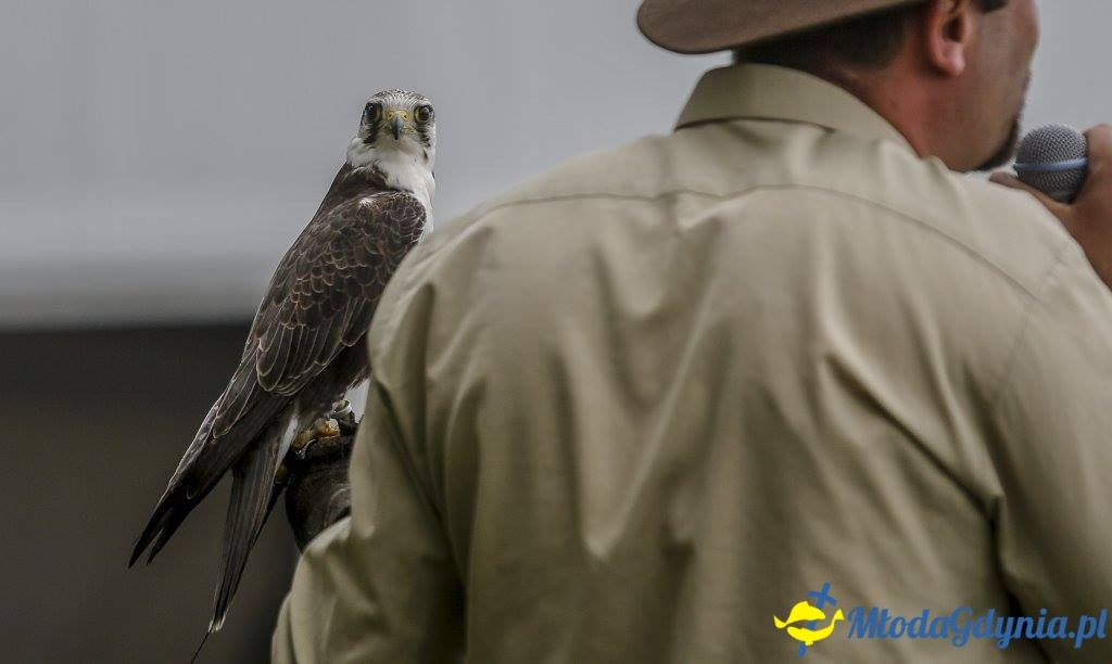 Festyn Leśny SEKRETY LASU