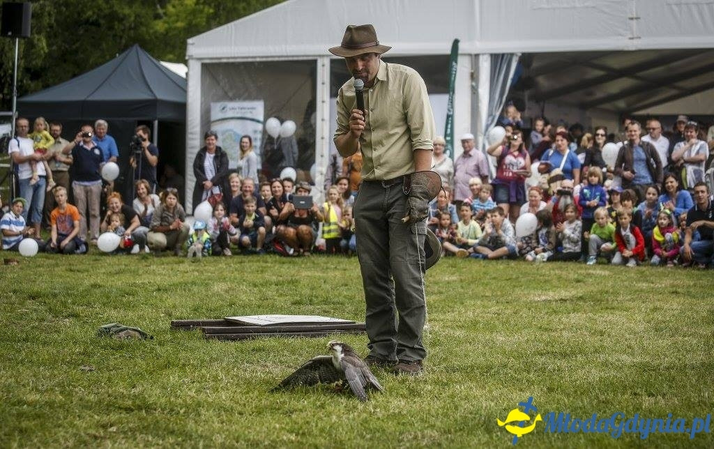 Festyn Leśny SEKRETY LASU