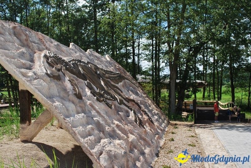 Park Ewolucji w Sławutówku 29.07.2016