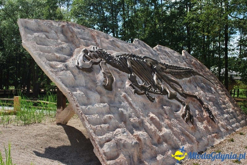 Park Ewolucji w Sławutówku 29.07.2016